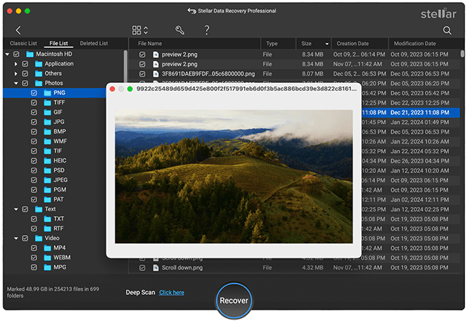stellar data recovery