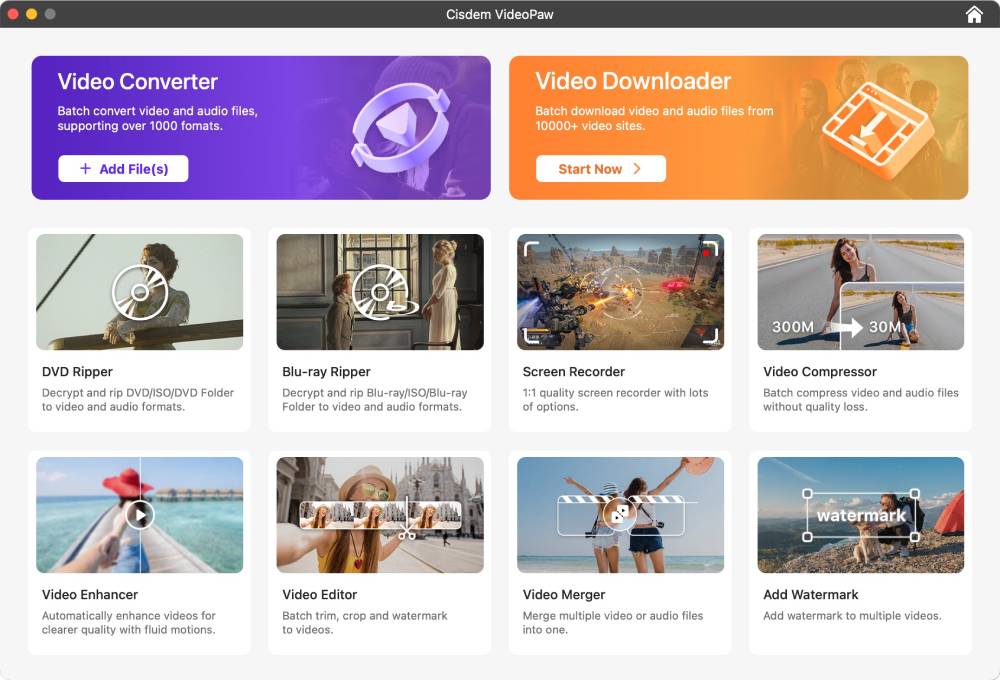 videopaw main interface