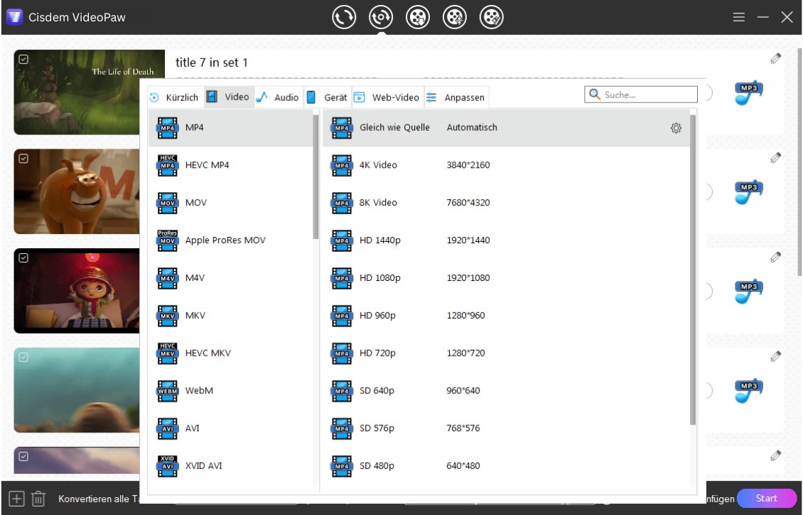 Format wählen cisdem