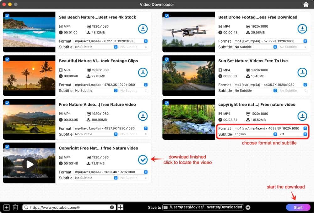 choose output options and start downloading