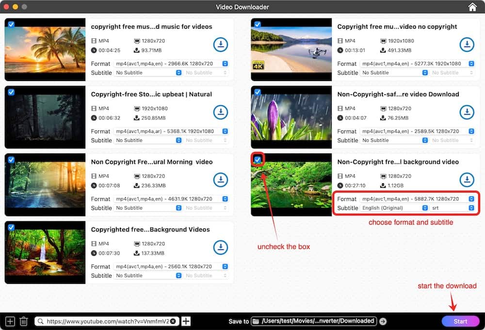 choose format and subtitles
