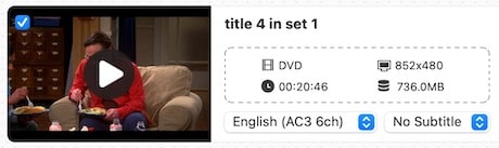 choose audio and subtitle track