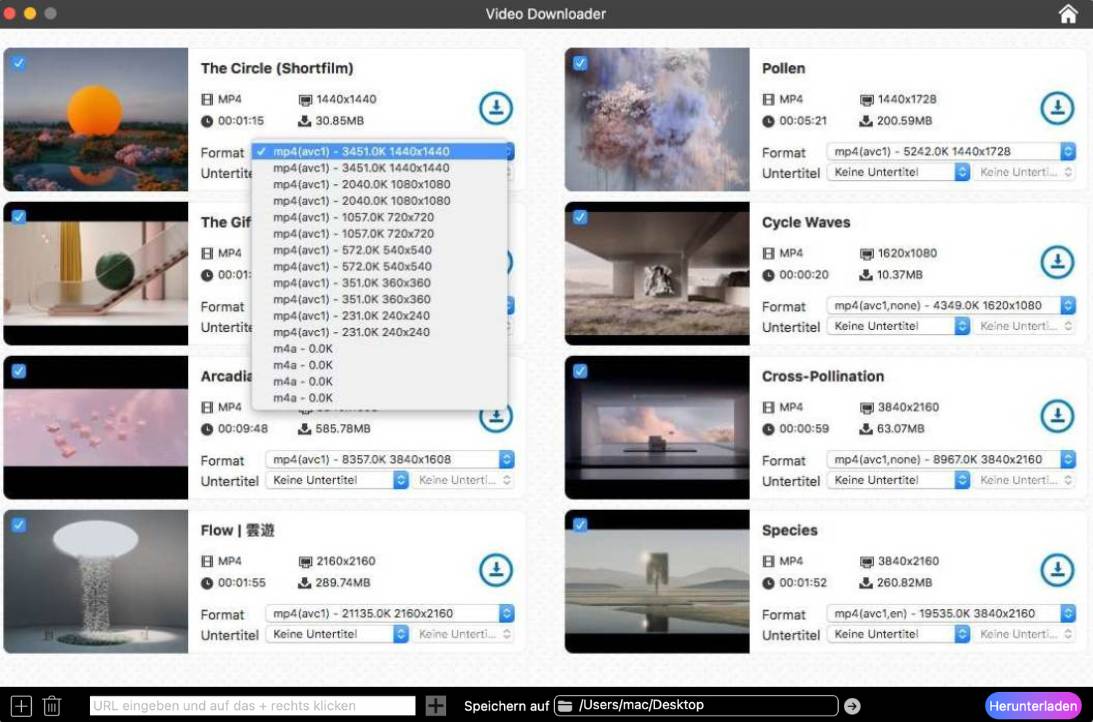 Format und Untertitel wählen