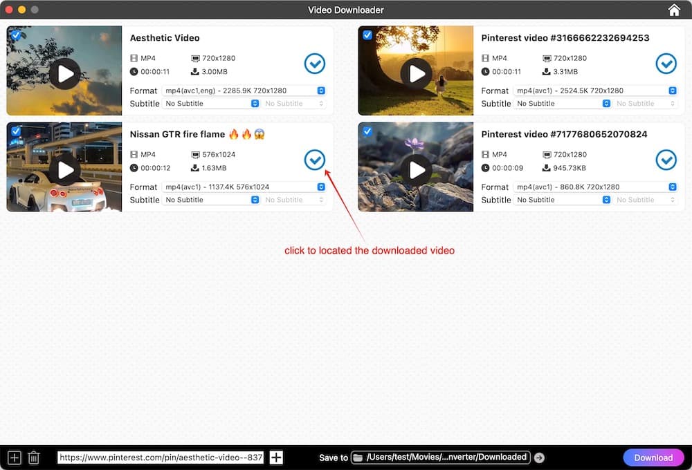 batch download pinterest videos on computer