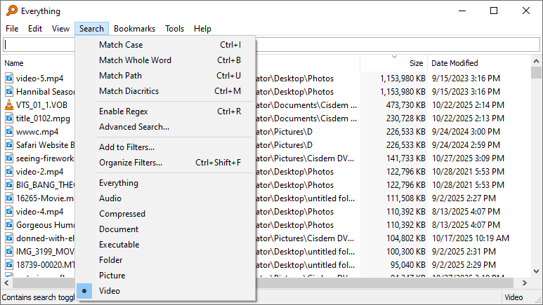 Everything's Search menu showing a set of options and file types