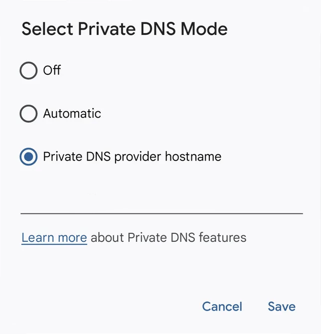Private DNS provide hostname