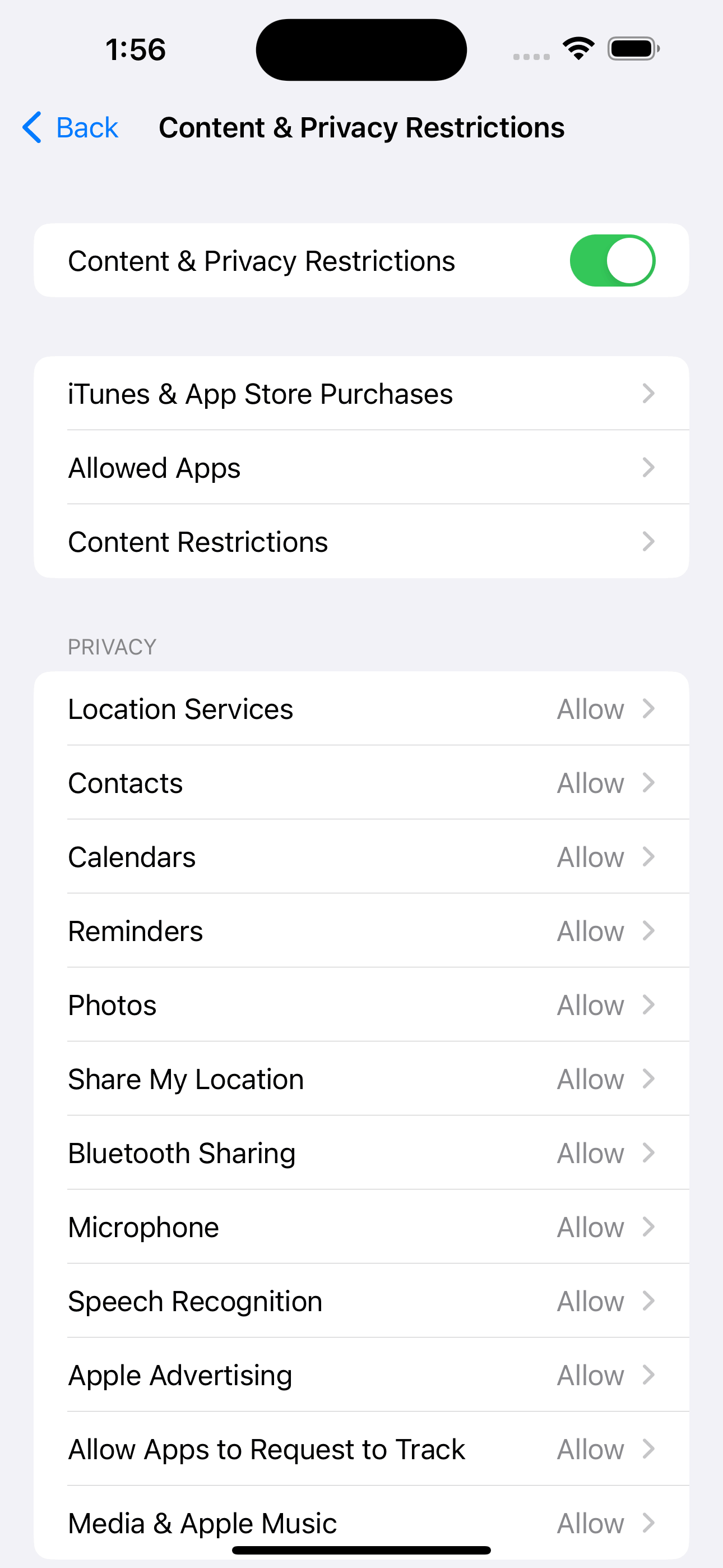 Content & Privacy Restrictions turned on