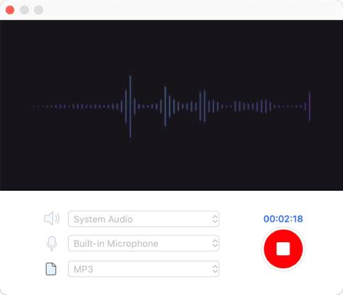 start audio recording with videopaw