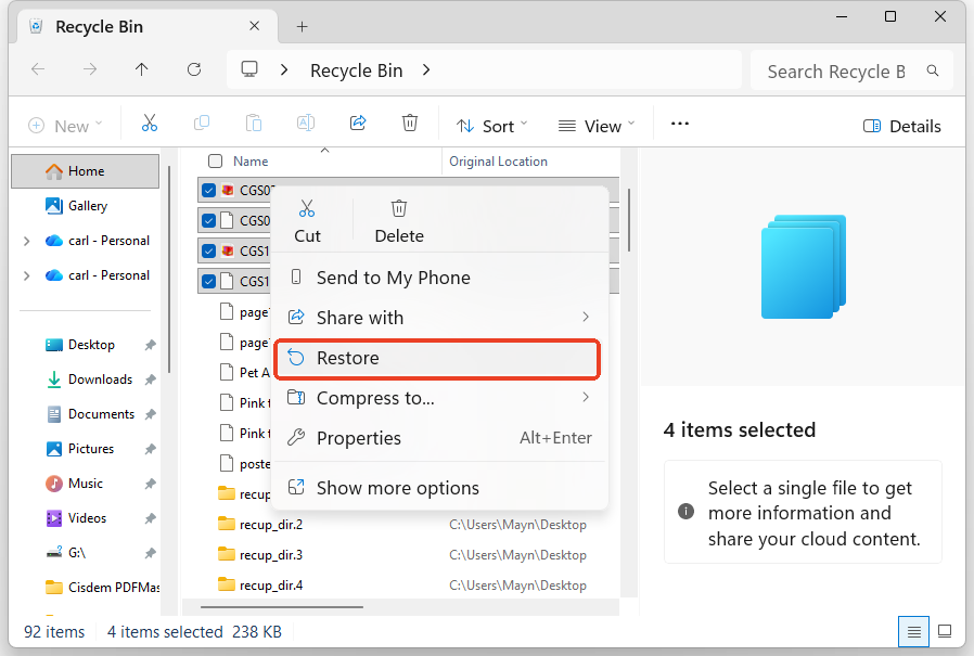 restore torrent from bin