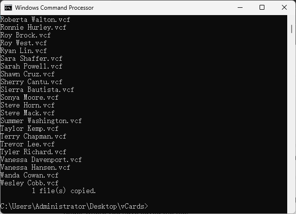 Command Prompt window showing a message that says 1 file(s) copied