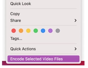 select “Encode Selected Video Files”