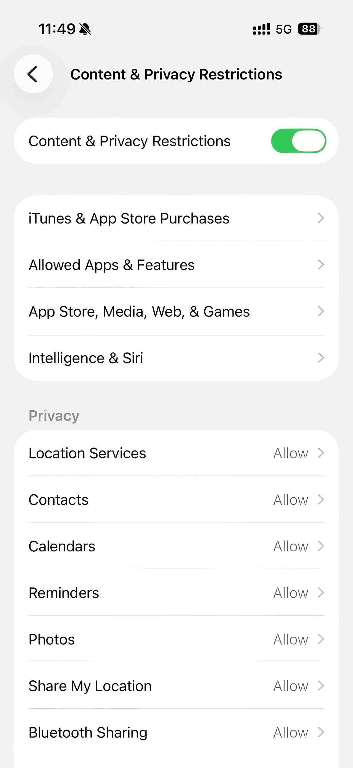 content and privacy restrictions