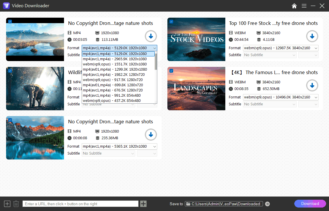 download video with videopaw