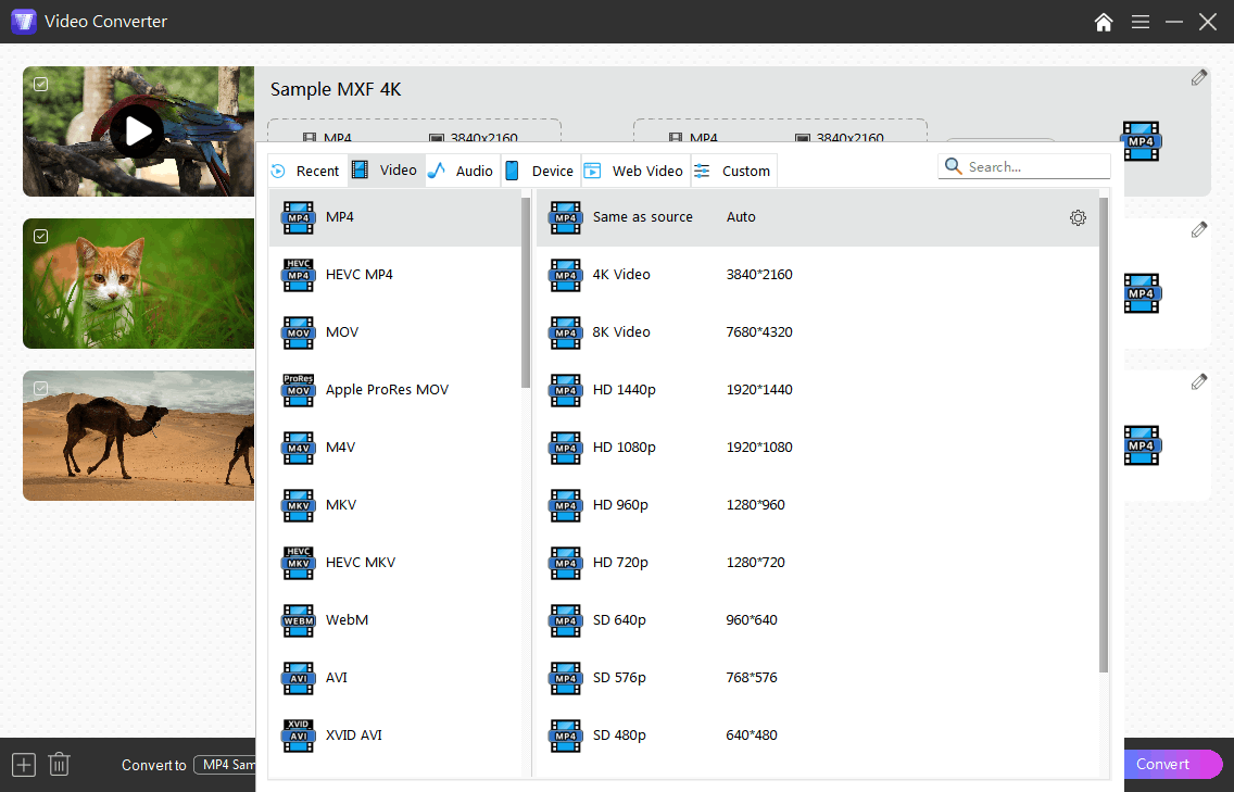 choose MP4 as the output settings