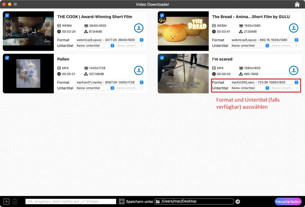 paste the link and load video