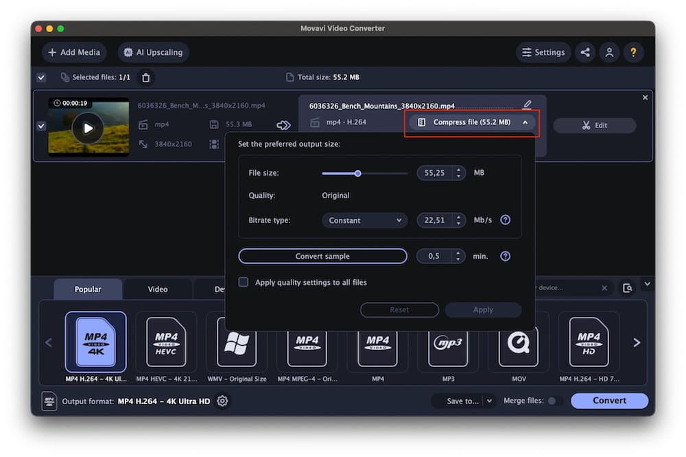 movavi video converter