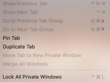 lock all private windows