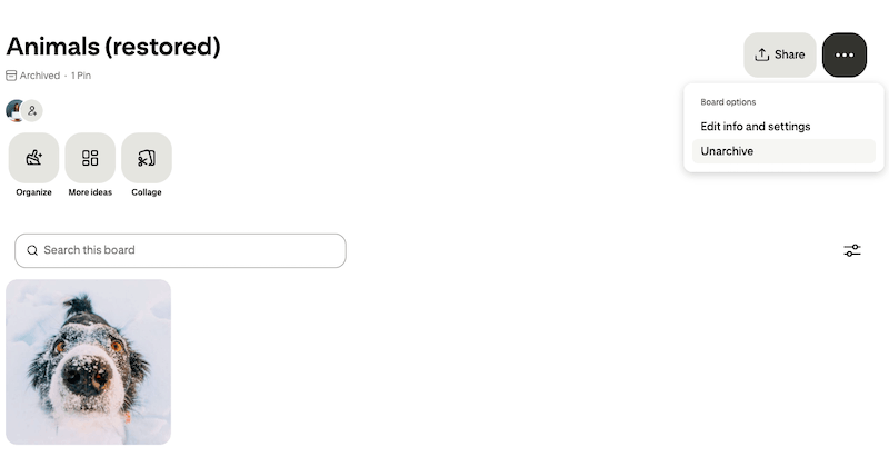unarchive pinterests02