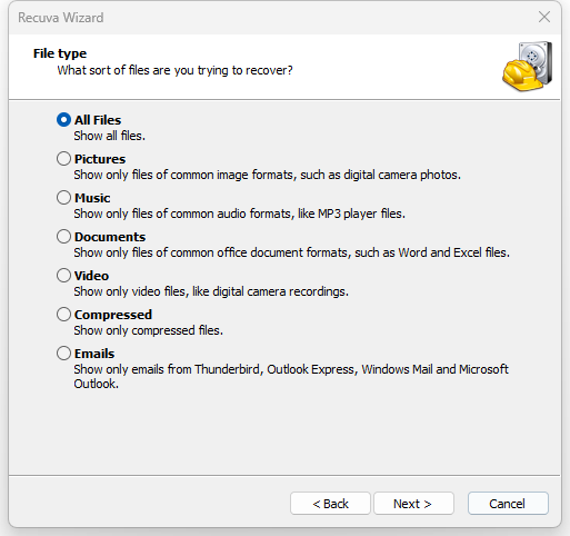 file type