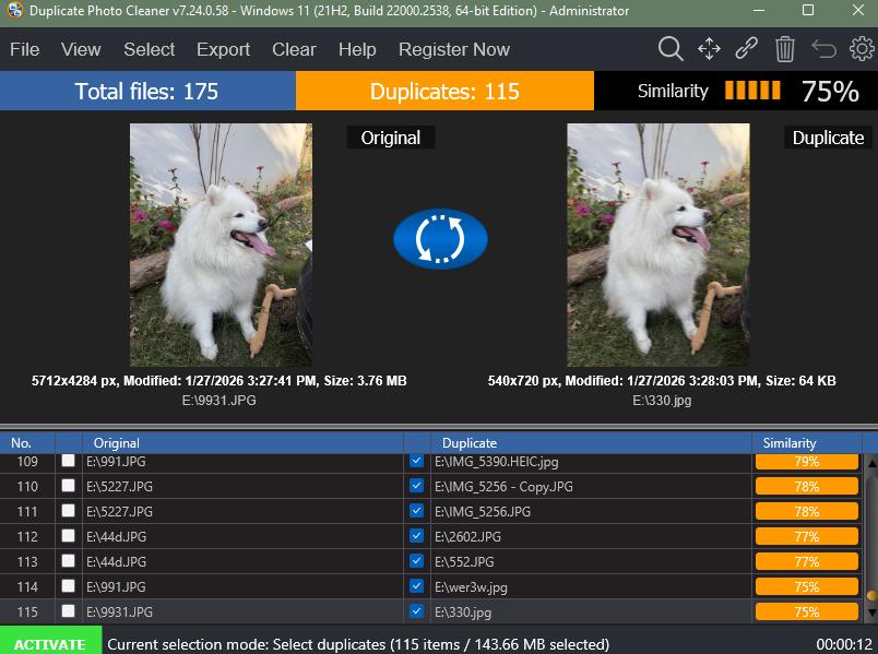 Duplicate Photo Cleaner