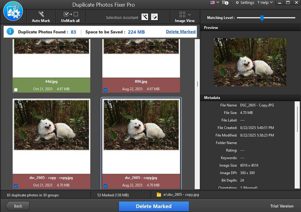 Duplicate Photos Fixer