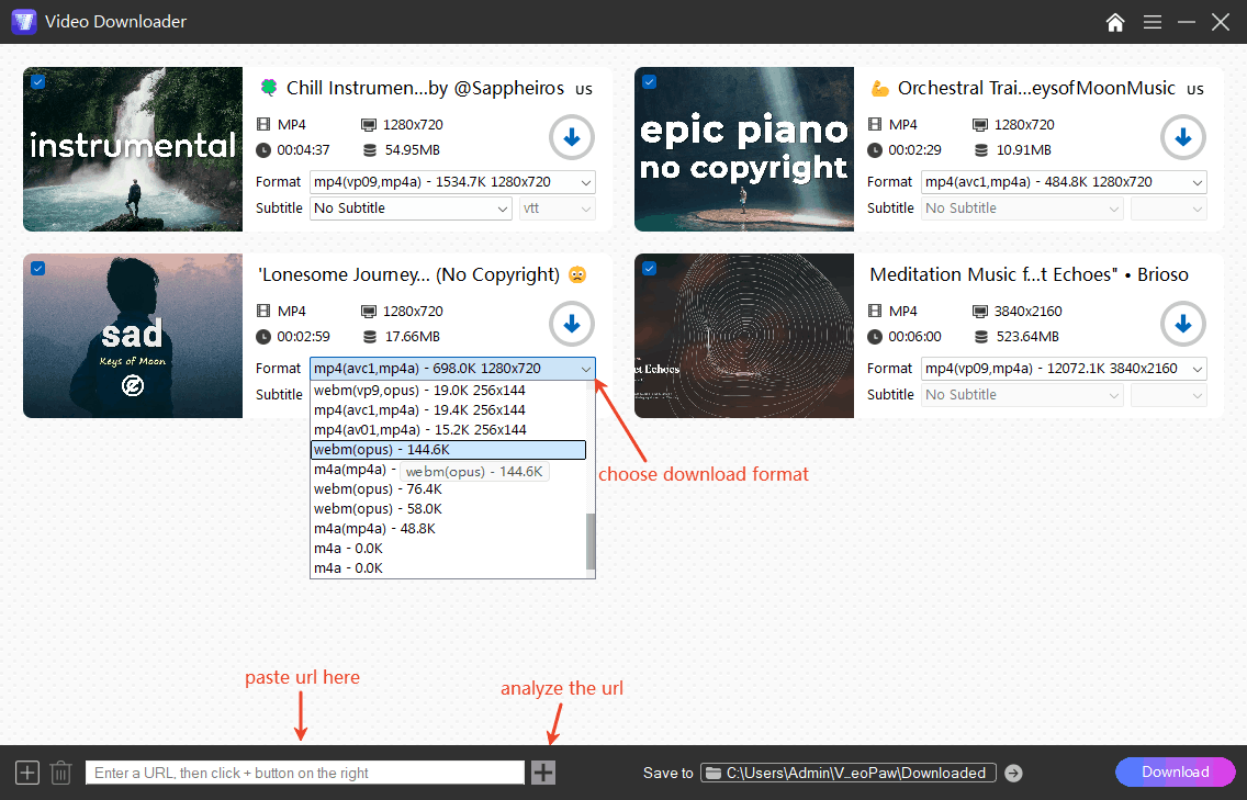 load youtube videos in downloader