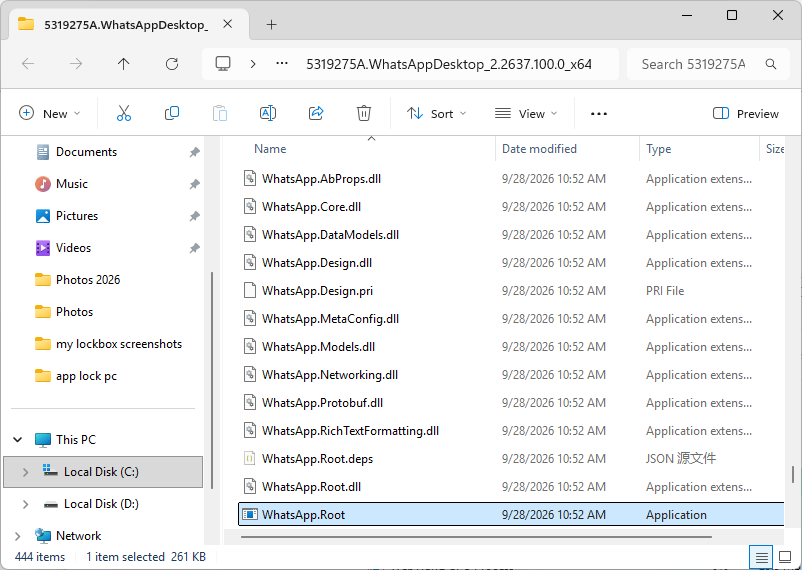 File Explorer window
