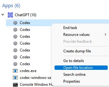 open file location