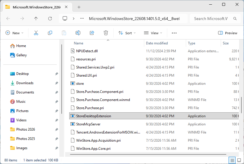 File Explorer window