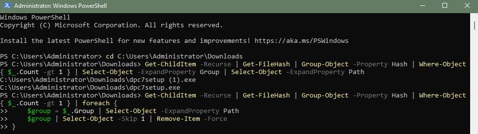 remove item force