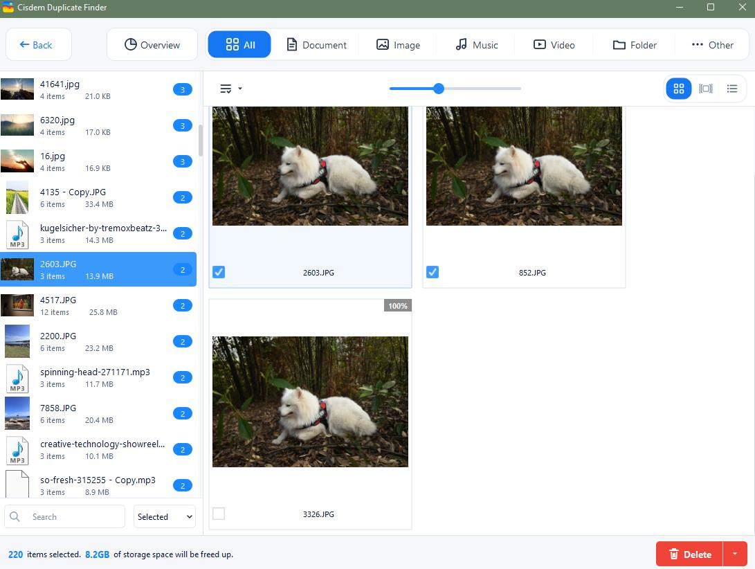view detected duplicate files with different names
