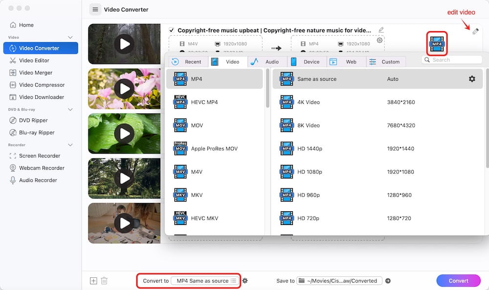 change m4v to mp4 mac videopaw