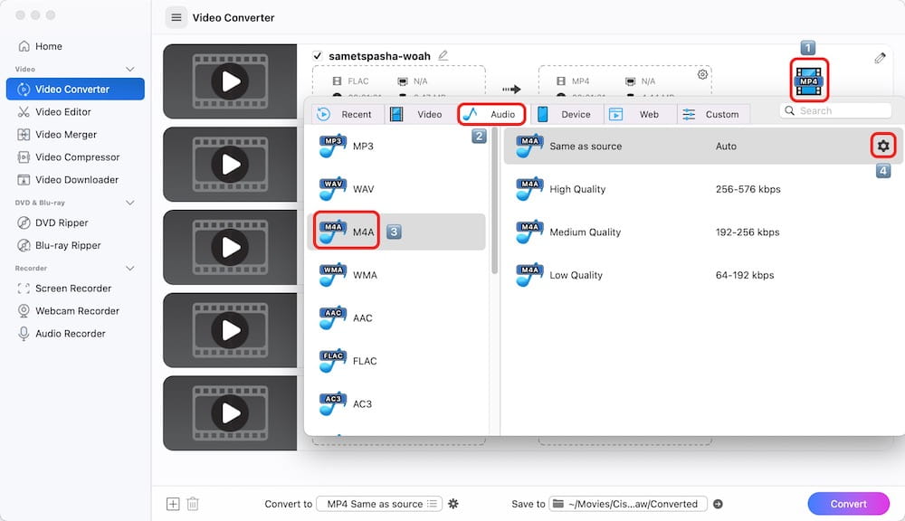 choose m4a as the output format