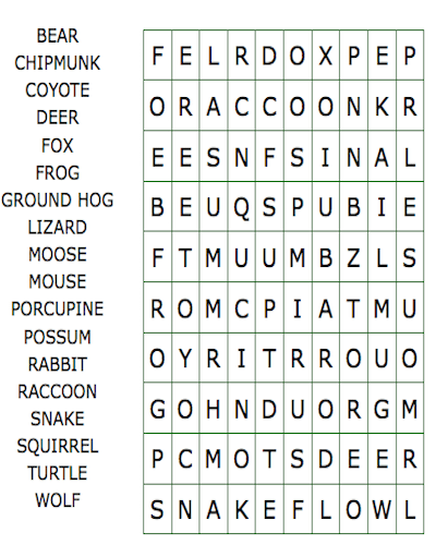 summer word search 21