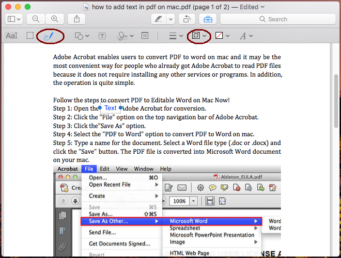 how to edit a pdf on mac in word