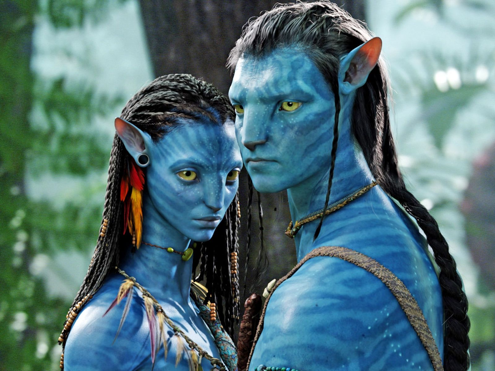 HD Exclusive Where Can I Download Free Movies Quora 