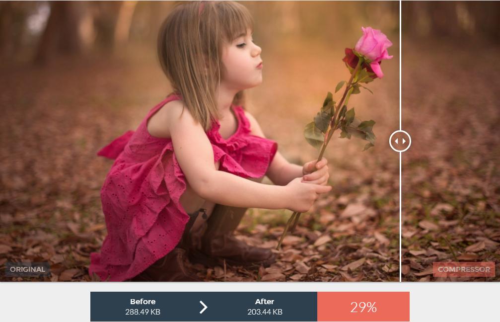 jpeg reduce file size online jpeg reduce file size online