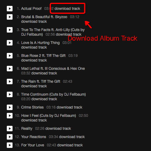 bandcamp downloader chrome 02