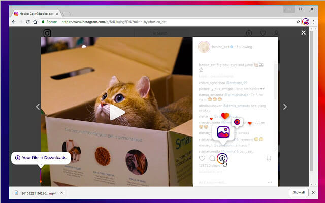 save instagram video to mp4 using chrome extension