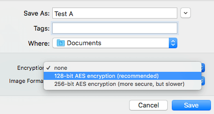 the Encryption dropdown menu