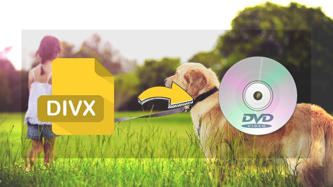 copying divx to dvd copying divx to dvd