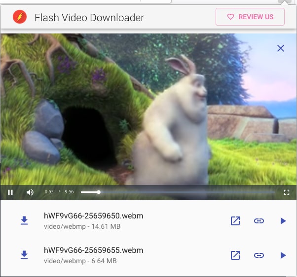 Flash Video Downloader Firefox