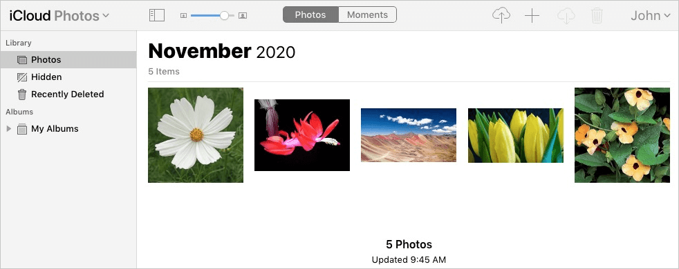 duplicates removed from iCloud Photos