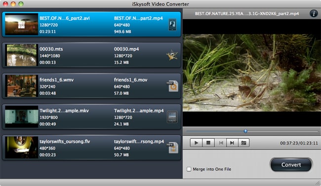 review iskysoft video converter for mac