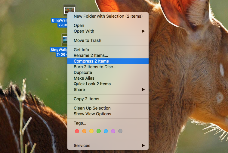 zip for mac and windows