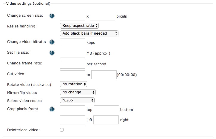 online h264 encoder- online-convert.com 02