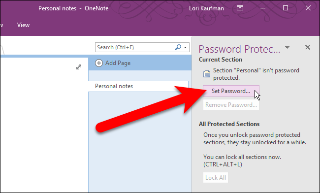 password protect onenote section windows set password