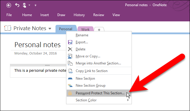 password protect onenote section windows