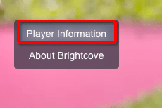 check player information