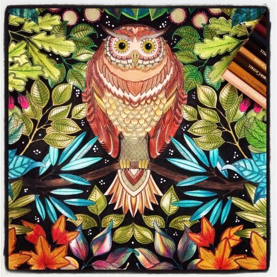 Free and Printable Secret Garden Coloring Book in PDF Cisdem Free and Printable Secret Garden Coloring Book in PDF Cisdem